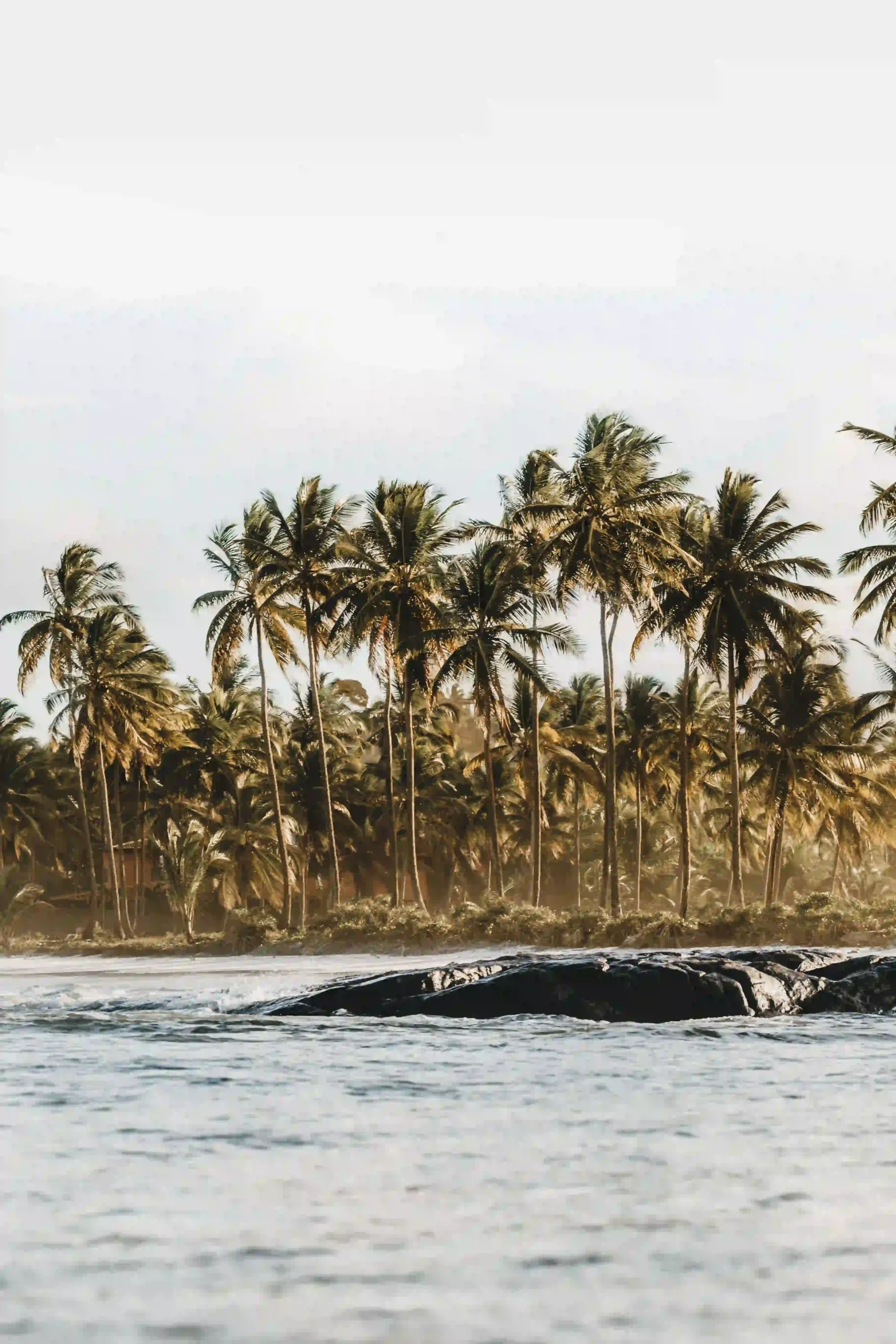 Vasana villa in Kedungu